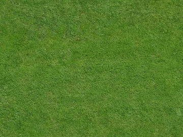 Turf texture (ID:ffacg95072)
