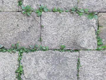 Stone-paved pavement texture (ID:ffaeh889726)