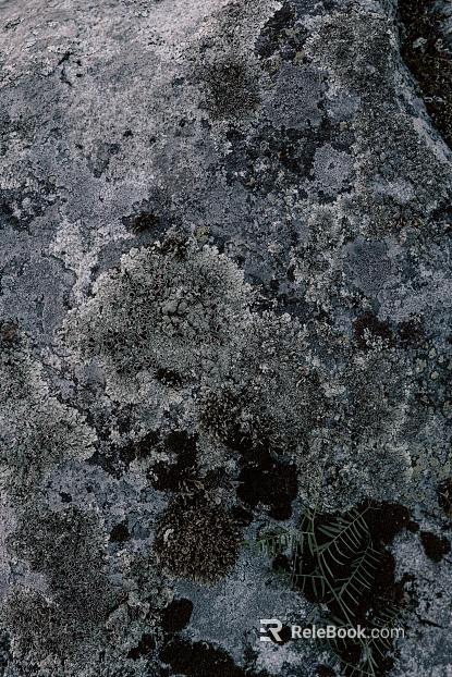Rock ink blue rock texture