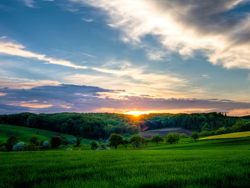 Wild Scenery texture (ID:ffach832673)