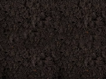 Mud texture (ID:ffaag96296)