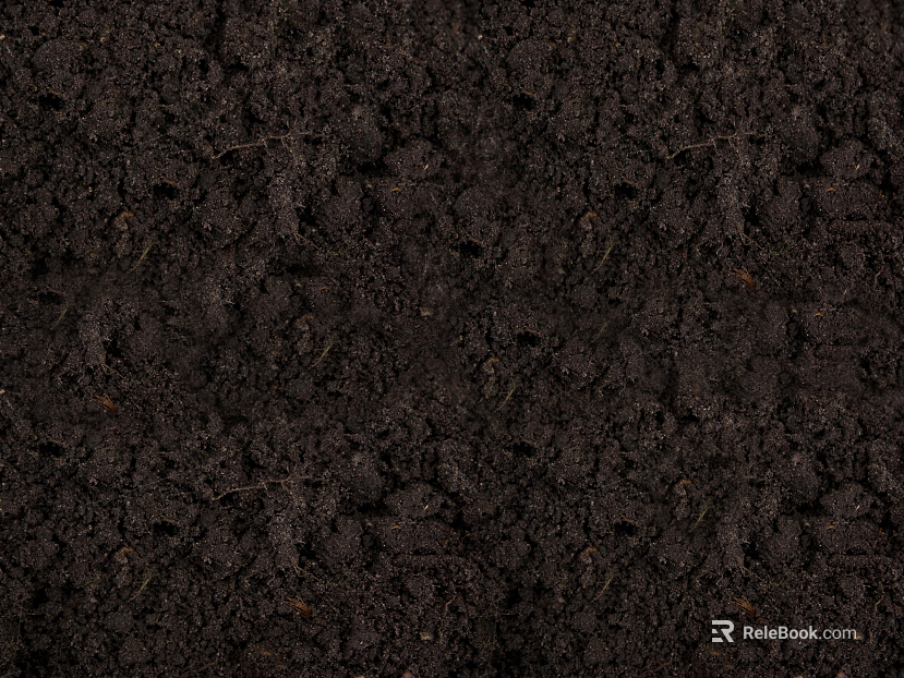 Mud texture