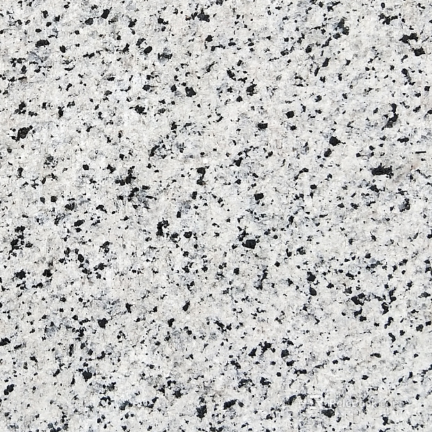 Granite Lacquer Sesame White texture