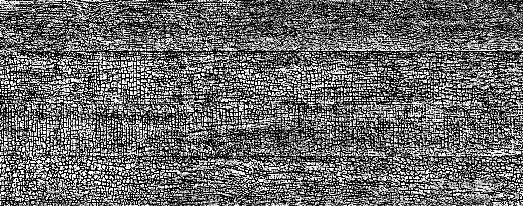 Black and White Bump texture