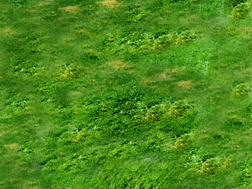 Turf 3d model