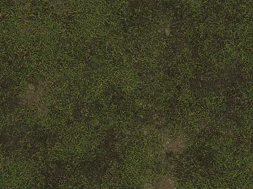 Turf texture (ID:ffach920665)