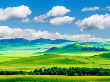 Wild Scenery texture (ID:ffach264980)