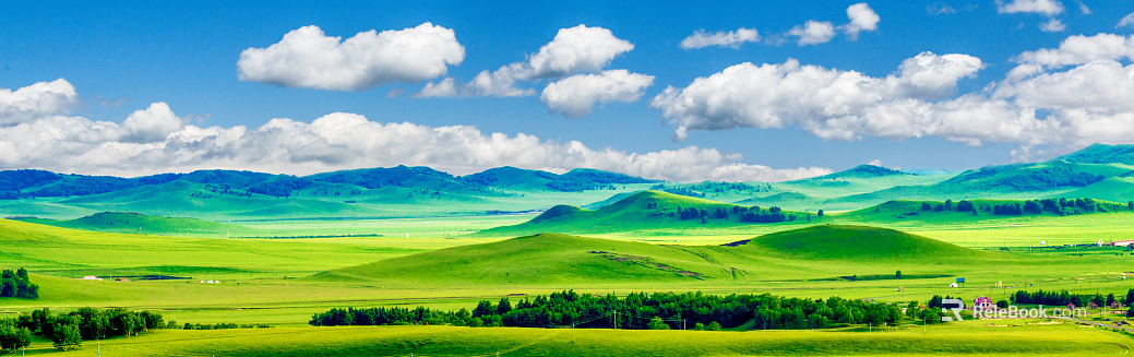 Wild Scenery texture