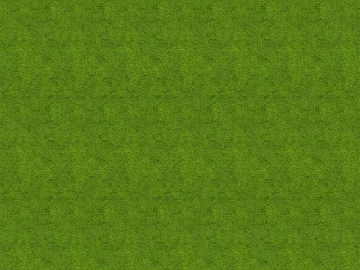 Green Turf Outdoor Ground 3d model
