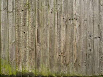 Wooden panel texture (ID:ffagg66921)