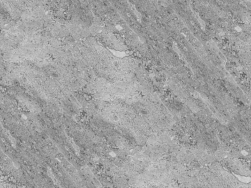 Stone seamless texture (ID:ffaeg01210)