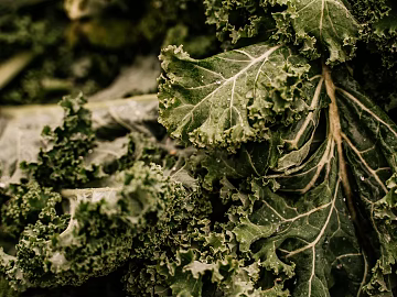 plant pattern texture (ID:ffagg51743)