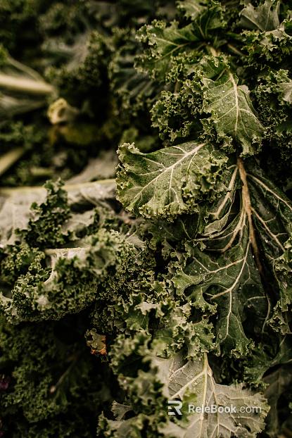 plant pattern texture