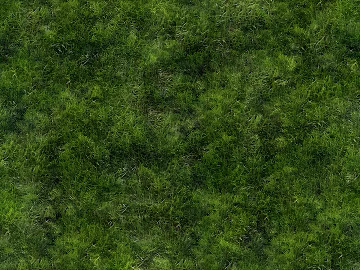 Turf 3d model