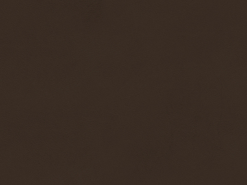 fine grain leather texture (ID:ffagg17165)