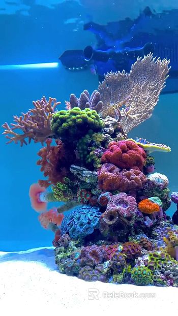 Fish tank texture