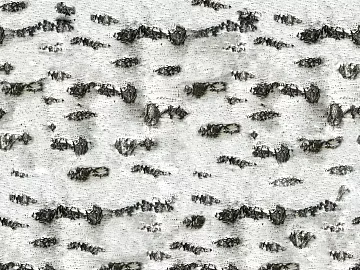 White Birch Bark Interior Decorative Panel texture (ID:ffaeh564524)