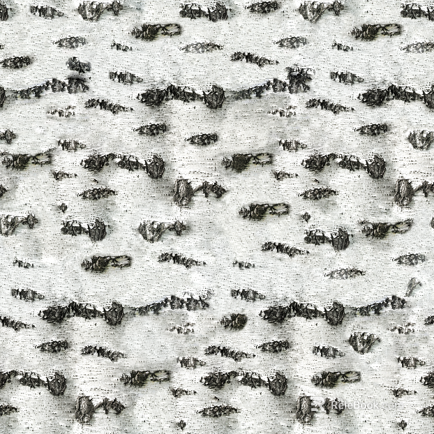 White Birch Bark Interior Decorative Panel texture