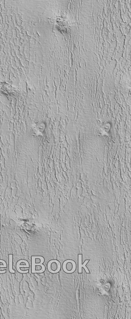 Black and White Bump texture