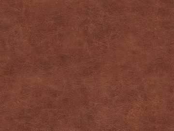 fine grain leather texture (ID:ffagg19756)