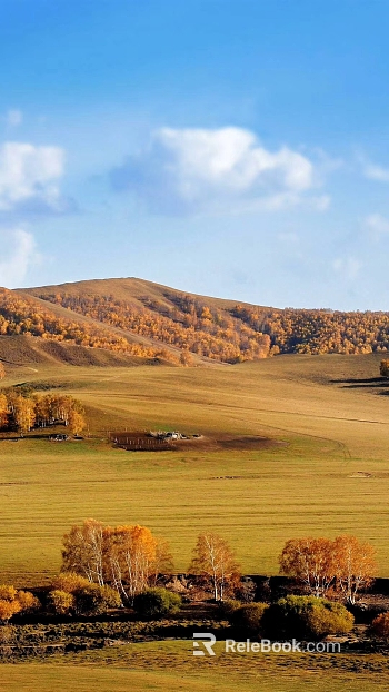 Natural Scenery texture