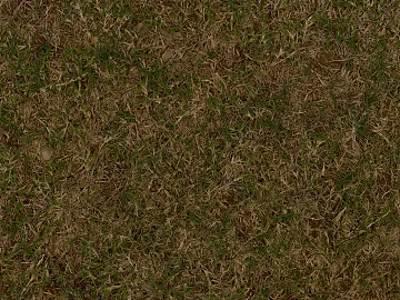 Turf 3d model