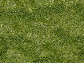 Grassland texture (ID:ffaeg69422)