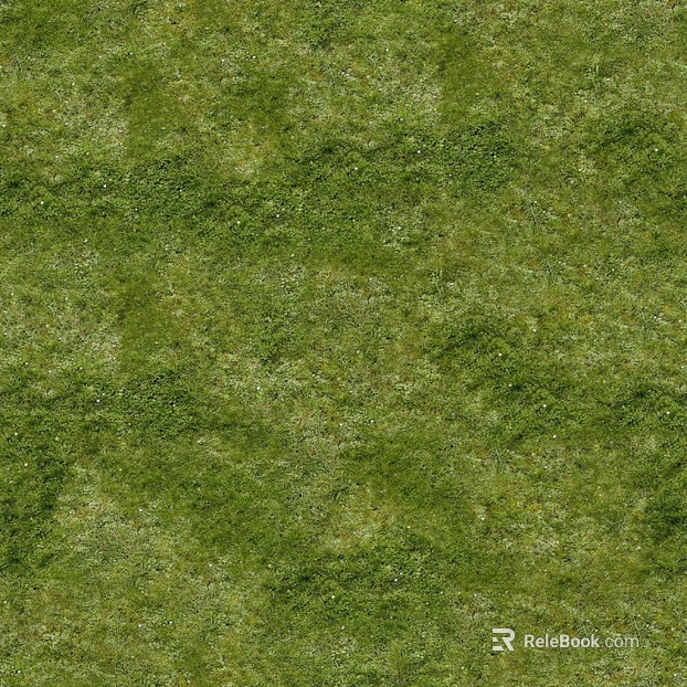 Grassland texture