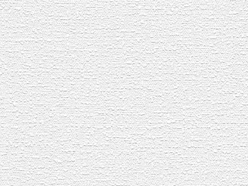 American White Texture Paint 3d model