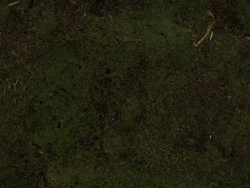Turf texture (ID:ffaag43912)
