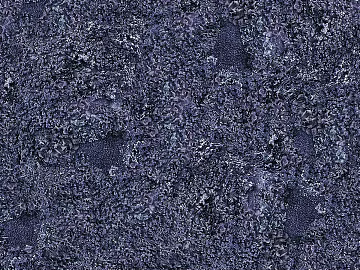 moss texture (ID:ffacg08901)