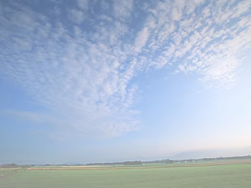 Exterior texture (ID:ffagg77920)