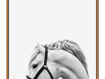 Hanging picture photo frame decorative painting texture (ID:ffach877081)