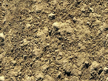 Sand texture (ID:ffaag57285)