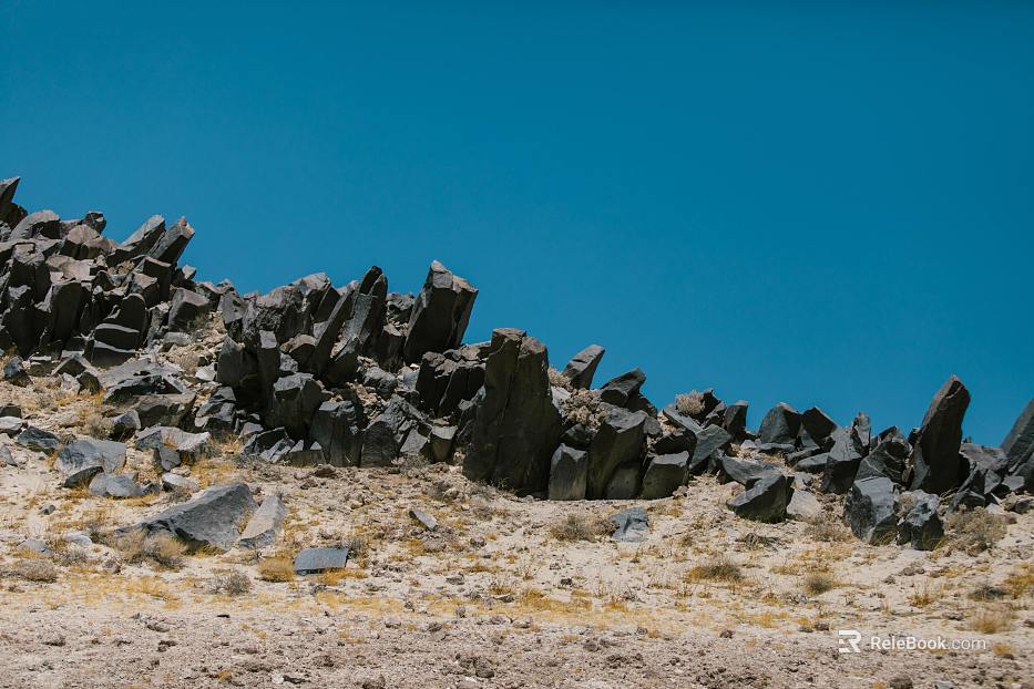 Wild Scenery texture