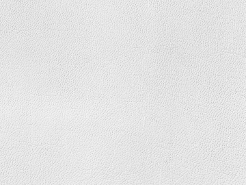 fine grain leather texture (ID:ffacg66827)