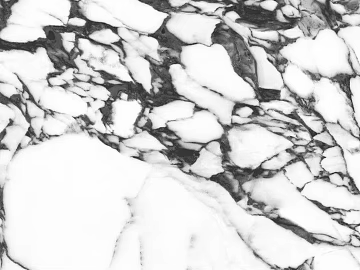 Bulgari white marble texture (ID:ffach196475)