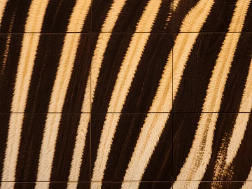 wood grain wood flooring plywood laminated wood carbonized wood wood mosaic wood parquet camphor wood-plastic composite fiberboard texture (ID:ffach713043)