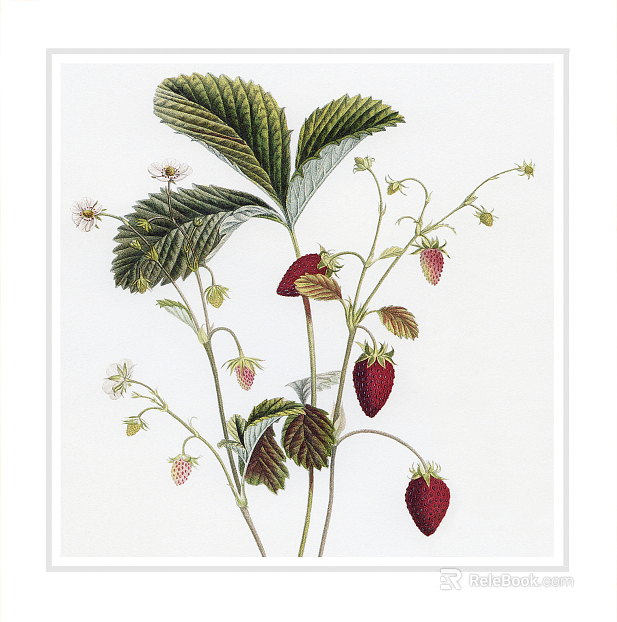 Plant painting texture
