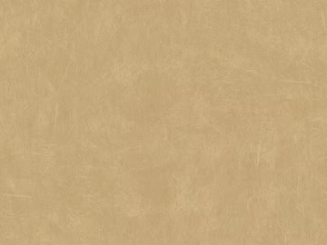 fine grain leather texture (ID:ffacg01138)