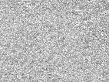 Mud texture (ID:ffacg30548)