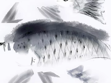Chinese ink fish brush texture (ID:ffaeh456032)