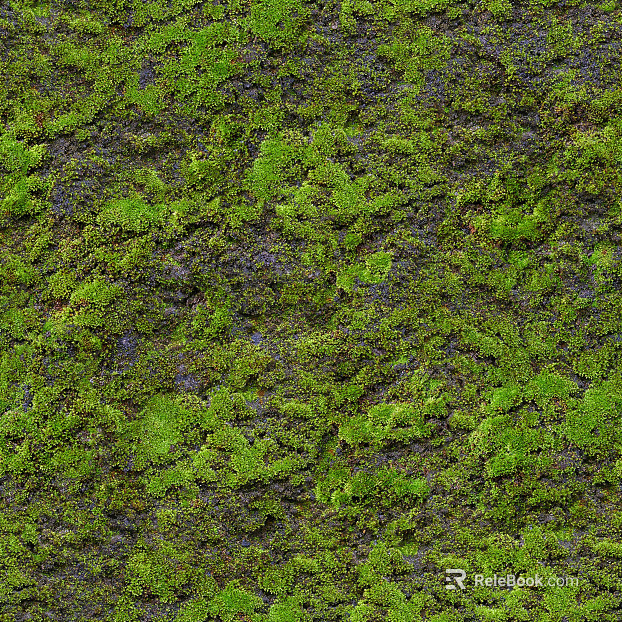 moss moss texture