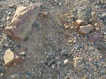 Gravel texture (ID:ffaag35297)
