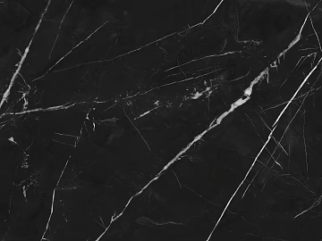 Black black and white root rock plate with mesh pattern marble texture (ID:ffagg44099)