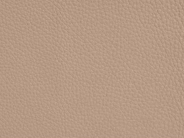 Coarse-grain leather texture (ID:ffagg69436)
