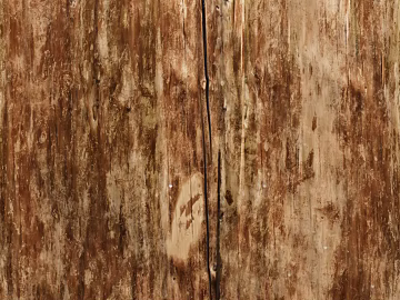 old wood texture (ID:ffaeg63337)