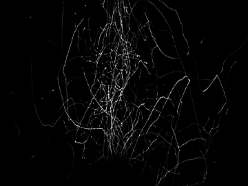 Highlight Mask texture (ID:ffadg20956)