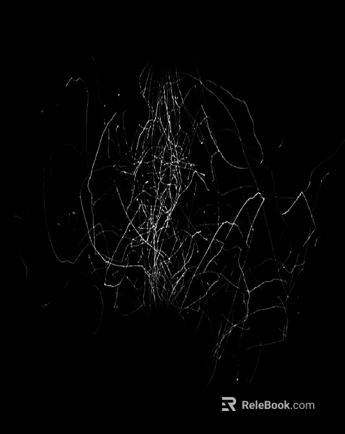 Highlight Mask texture