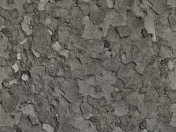 bark texture (ID:ffach737466)